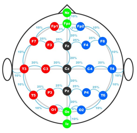 10-20 electrode placement system